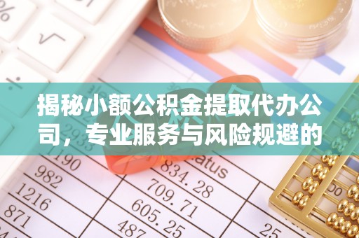汝南揭秘小额公积金提取代办公司，专业服务与风险规避的平衡艺术