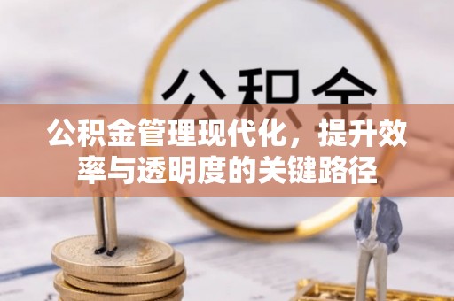 汝南公积金管理现代化，提升效率与透明度的关键路径