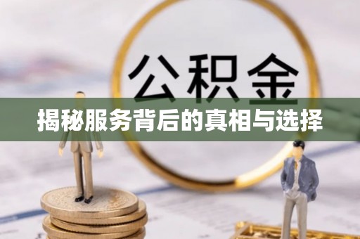 汝南揭秘服务背后的真相与选择