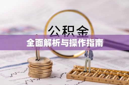 汝南全面解析与操作指南