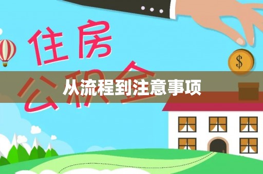 汝南从流程到注意事项