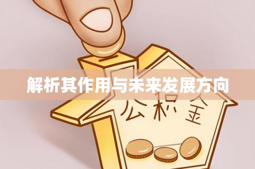 汝南解析其作用与未来发展方向