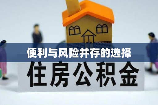 汝南便利与风险并存的选择