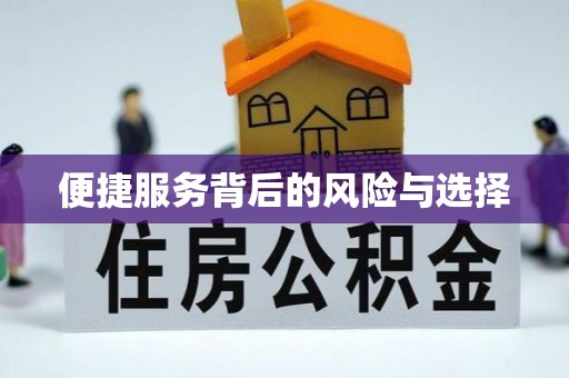 汝南便捷服务背后的风险与选择