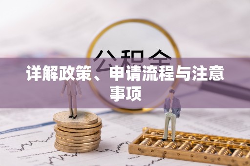 汝南详解政策、申请流程与注意事项