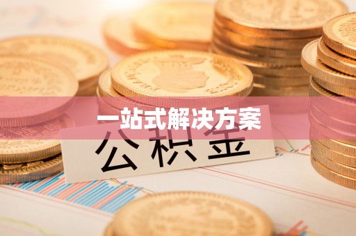 汝南一站式解决方案