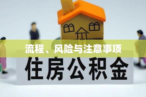 汝南流程、风险与注意事项