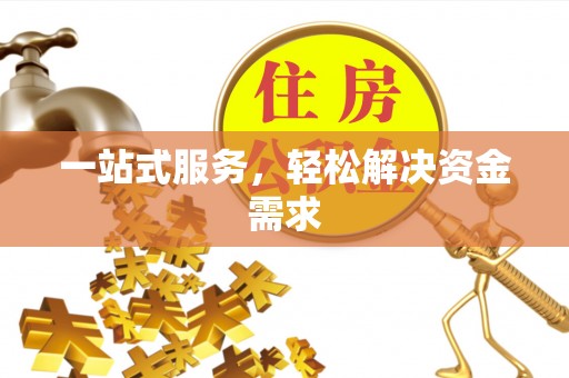 汝南一站式服务，轻松解决资金需求