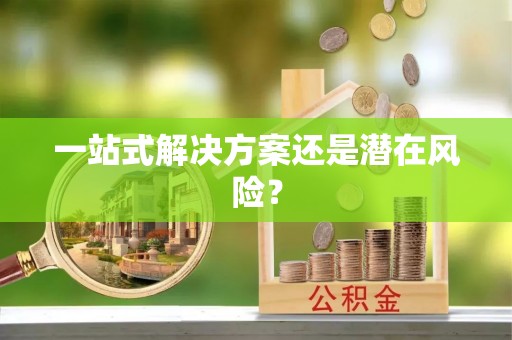 汝南一站式解决方案还是潜在风险？