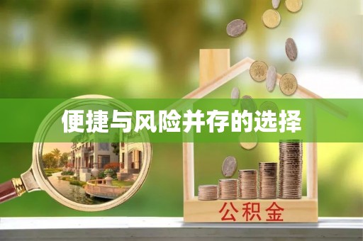 汝南便捷与风险并存的选择