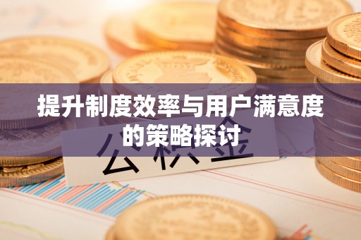 汝南提升制度效率与用户满意度的策略探讨